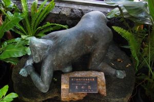 夏の花